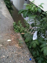 BOYABAT DA ŞİDDETLİ YAÐIŞ