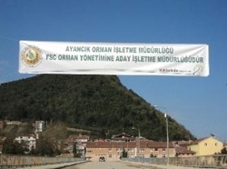 Ayancık’ta FSC Süreci Başladı