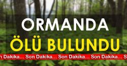Ormanda Ölü Bulundu