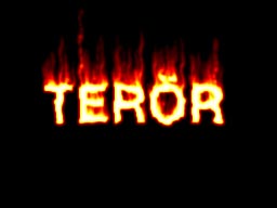 ÇORUM\ DA TESLİM OLAN TERÖRİST\ TEN İTİRAFLAR 