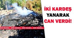 İki Kız Kardeş Can Verdi