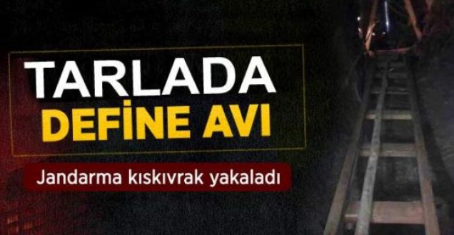 Define avcılarını Jandarma yakaladı