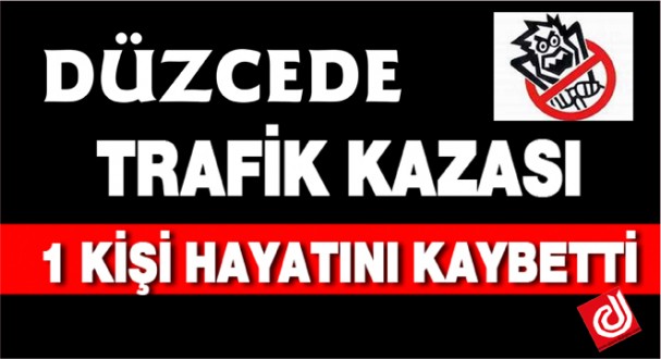 Düzcede trafik kazası: 1 ölü, 14 yaralı