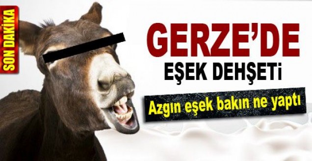 Eşeğin ısırdığı genç hastanelik oldu
