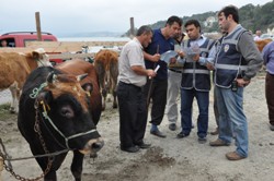 KURBAN PAZARINDA SAHTE PARA UYARISI