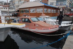 ANNE KEDİ DENİZE DÜŞEN YAVRUSUNU KURTARMAK İÇİN POLİSE YARDIM ETTİ 