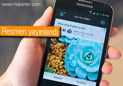 Fotoğraflı Soru Cevap Uygulaması Jelly