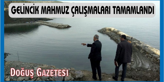 GELİNCİK MAHMUZ ÇALIŞMALARI TAMAMLANDI