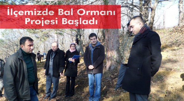İlçemizde Bal Ormanı Projesi Başladı 