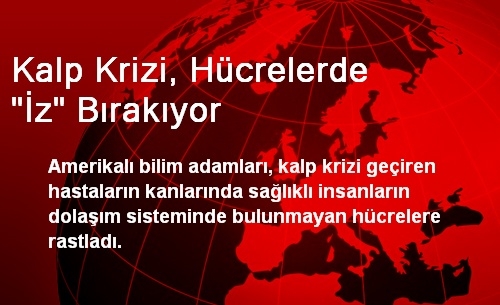 Kalp Krizi, Hücrelerde 