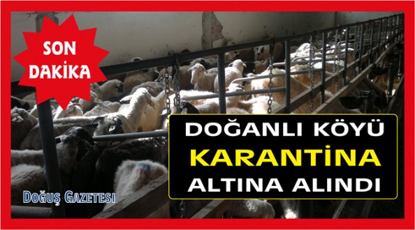 KOYUNLARIN TELEF OLDUĞU KÖY KARANTİNA ALTINA ALINDI