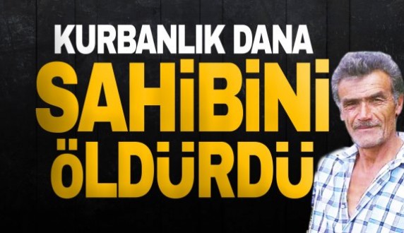 Kurbanlık dana sahibini öldürdü