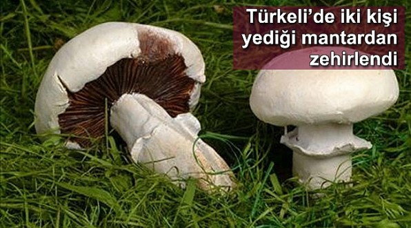 Mantardan zehirlenen iki kişi hastaneye kaldırıldı