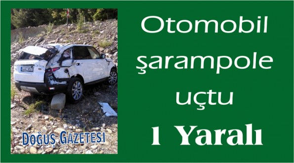 Otomobil şarampole uçtu 1 Yaralı