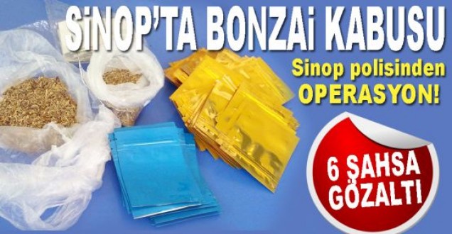 Sinop'ta Bonzai operasyonu