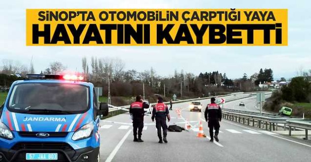 Sinop'ta otomobilin çarptığı yaya öldü