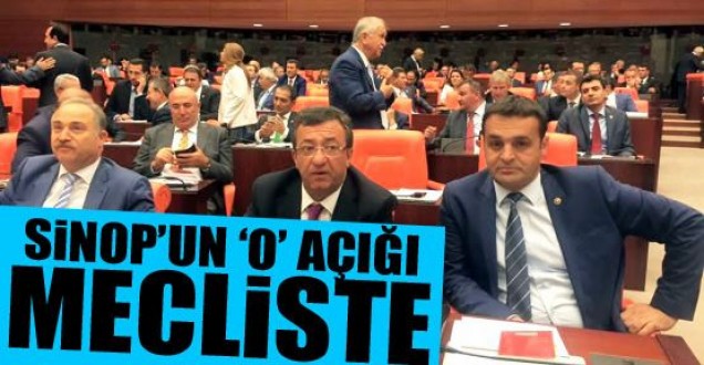 Sinop'un doktor açığı sorununu mecliste