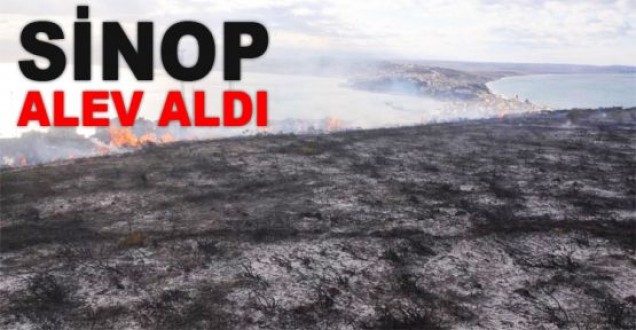 Sinop'un tepesinde örtü yandı