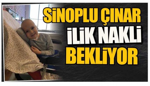 Sinoplu Çınar, ilik nakli bekliyor