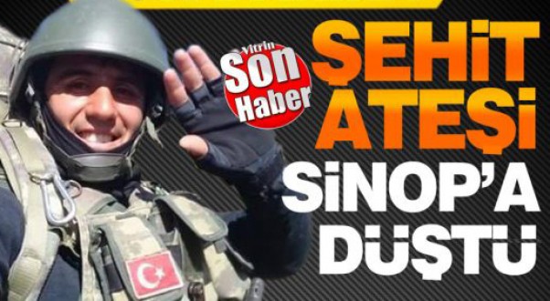 Sinoplu Uzman Çavuş Şehit oldu 