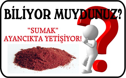 "SUMAK" AYANCIKTA YETİŞİYOR!